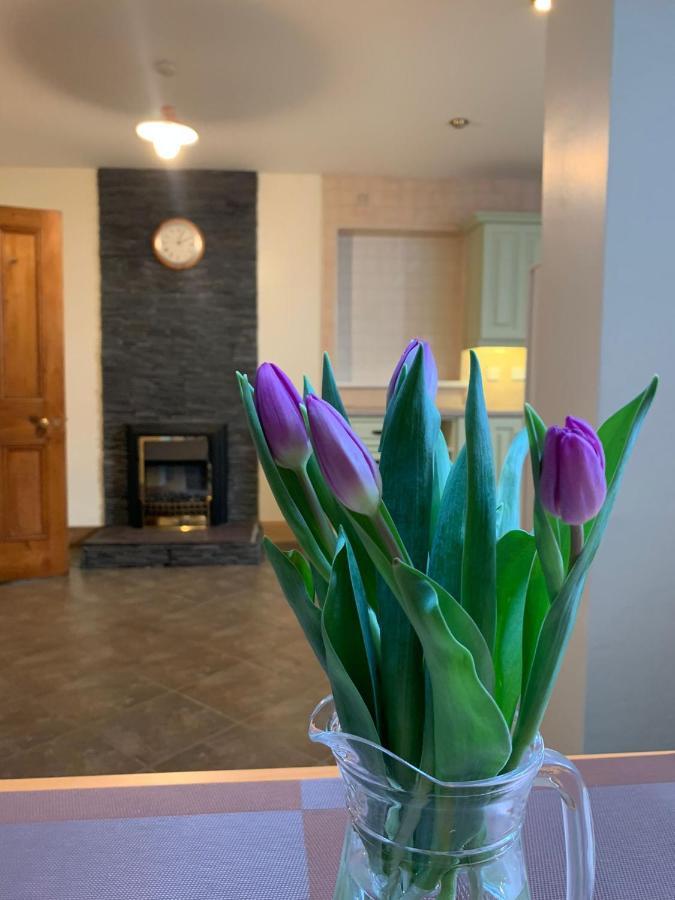 Ringfort Manor Rathfriland Екстер'єр фото